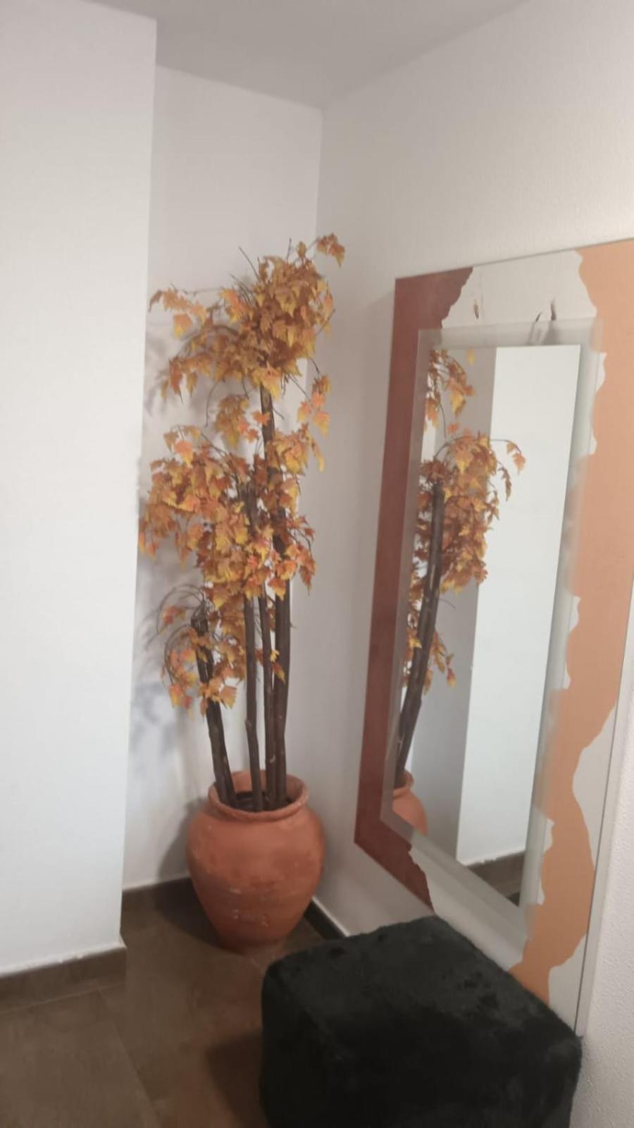 Apartamento Gloria Patricia Alcantarilla Kültér fotó